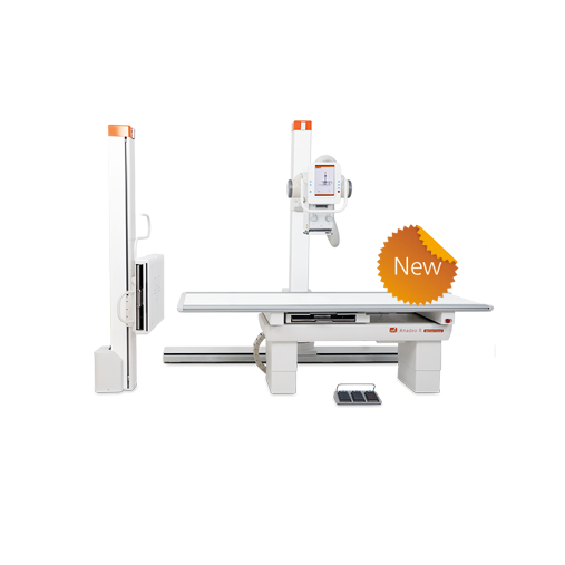 Amadeo R motorised