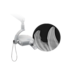 Amadeo D-AX Vet Systems II