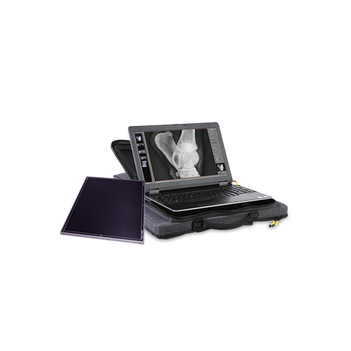 Leonardo DR suitcase solutions