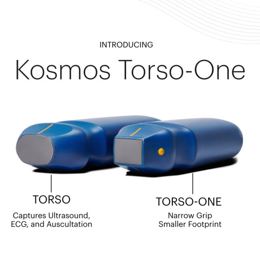 Kosmos Torso-One Probe