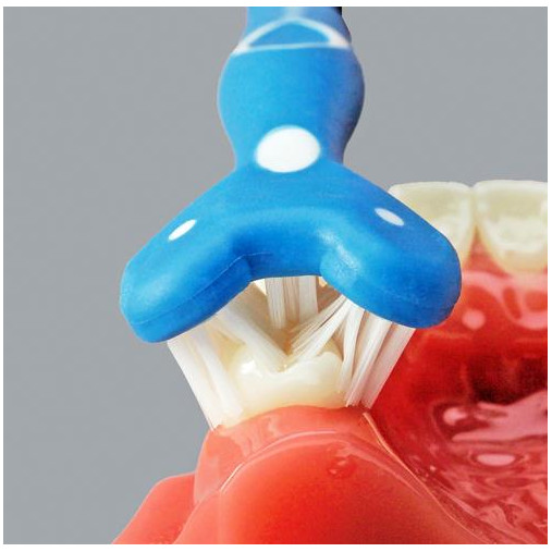 Surround Toothbrush (Triple Headed) Adult