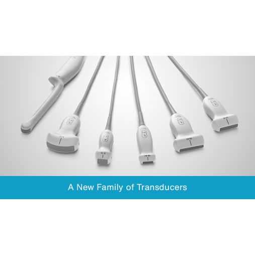 Sonosite Ultrasound Transducers