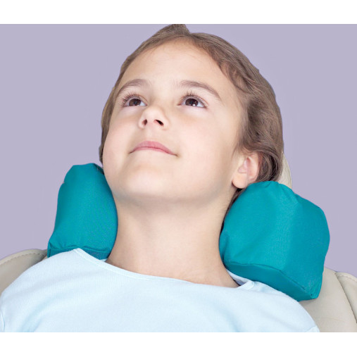 Stay N Place® Pillows