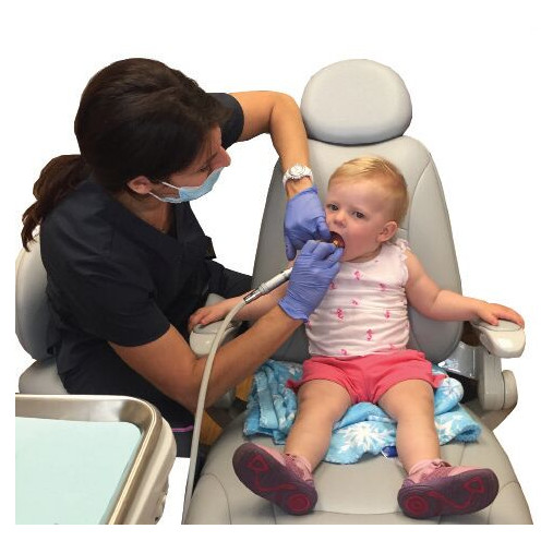 Stay N Place® Chair Cushions