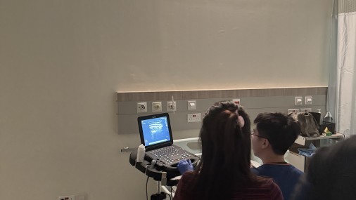 Ultrasound Echo guided life support