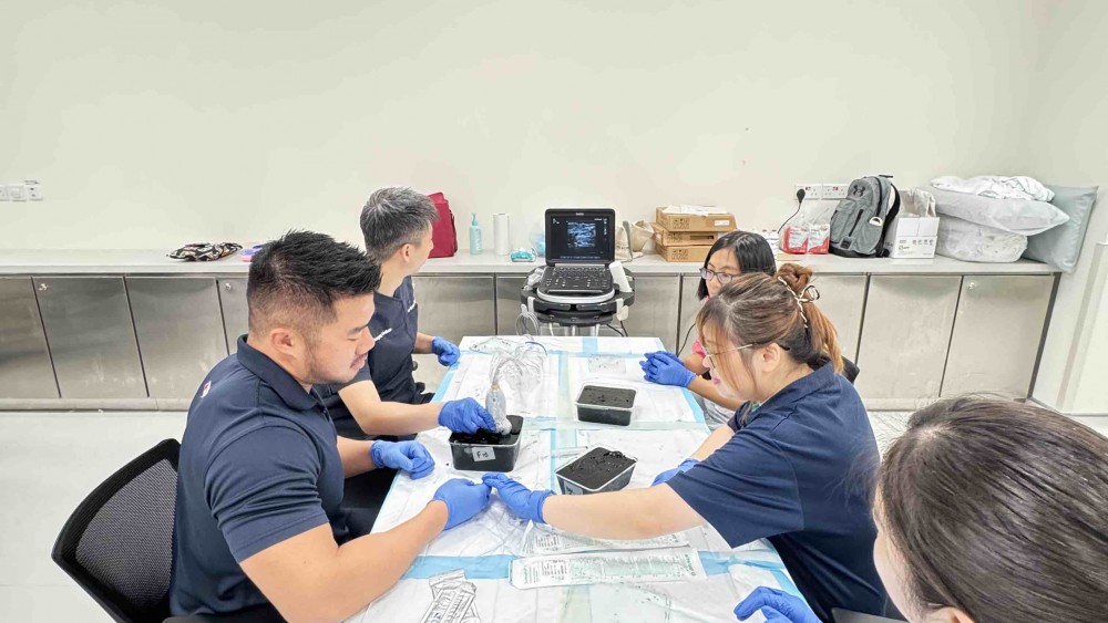 Ultrasound Echo guided life support