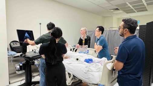 Ultrasound Echo guided life support