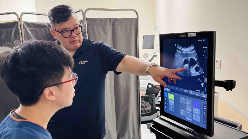 Ultrasound Echo guided life support