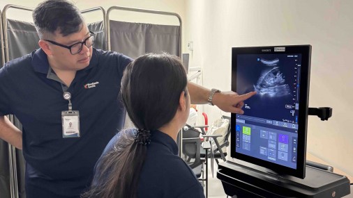 Ultrasound Echo guided life support