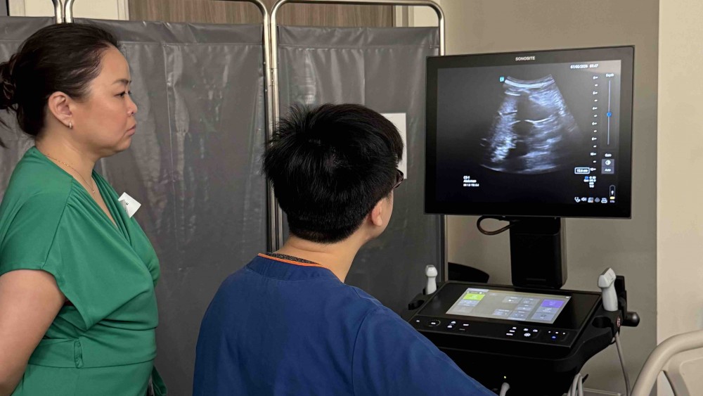 Ultrasound Echo guided life support