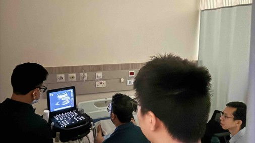Ultrasound Echo guided life support