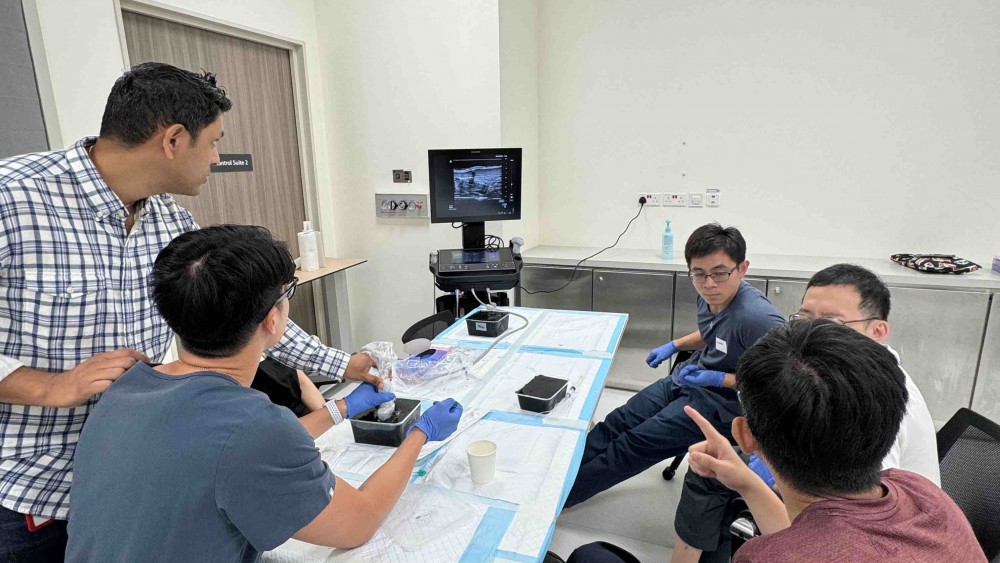 Ultrasound Echo guided life support