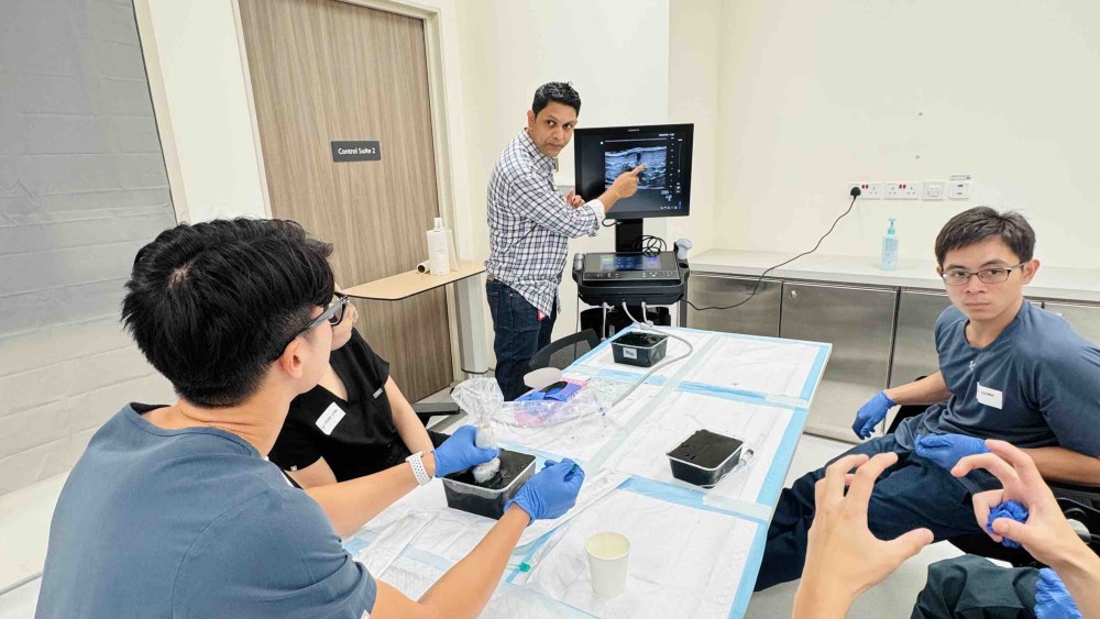 Ultrasound Echo guided life support