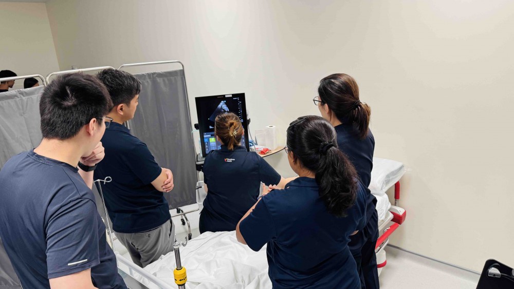 Ultrasound Echo guided life support