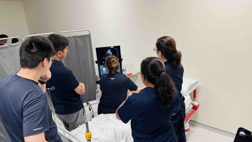 Ultrasound Echo guided life support