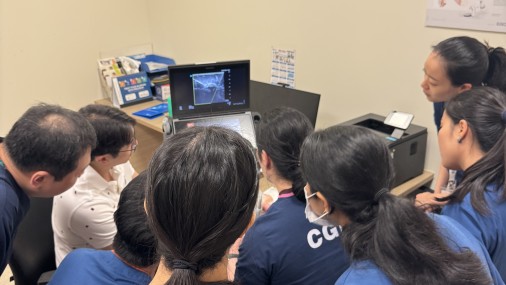 Ultrasound-Guided Procedure Training