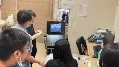 Ultrasound-Guided Procedure Training